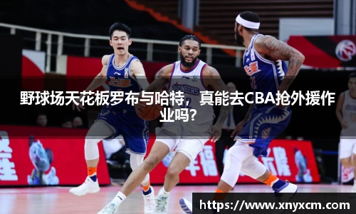 野球场天花板罗布与哈特，真能去CBA抢外援作业吗？